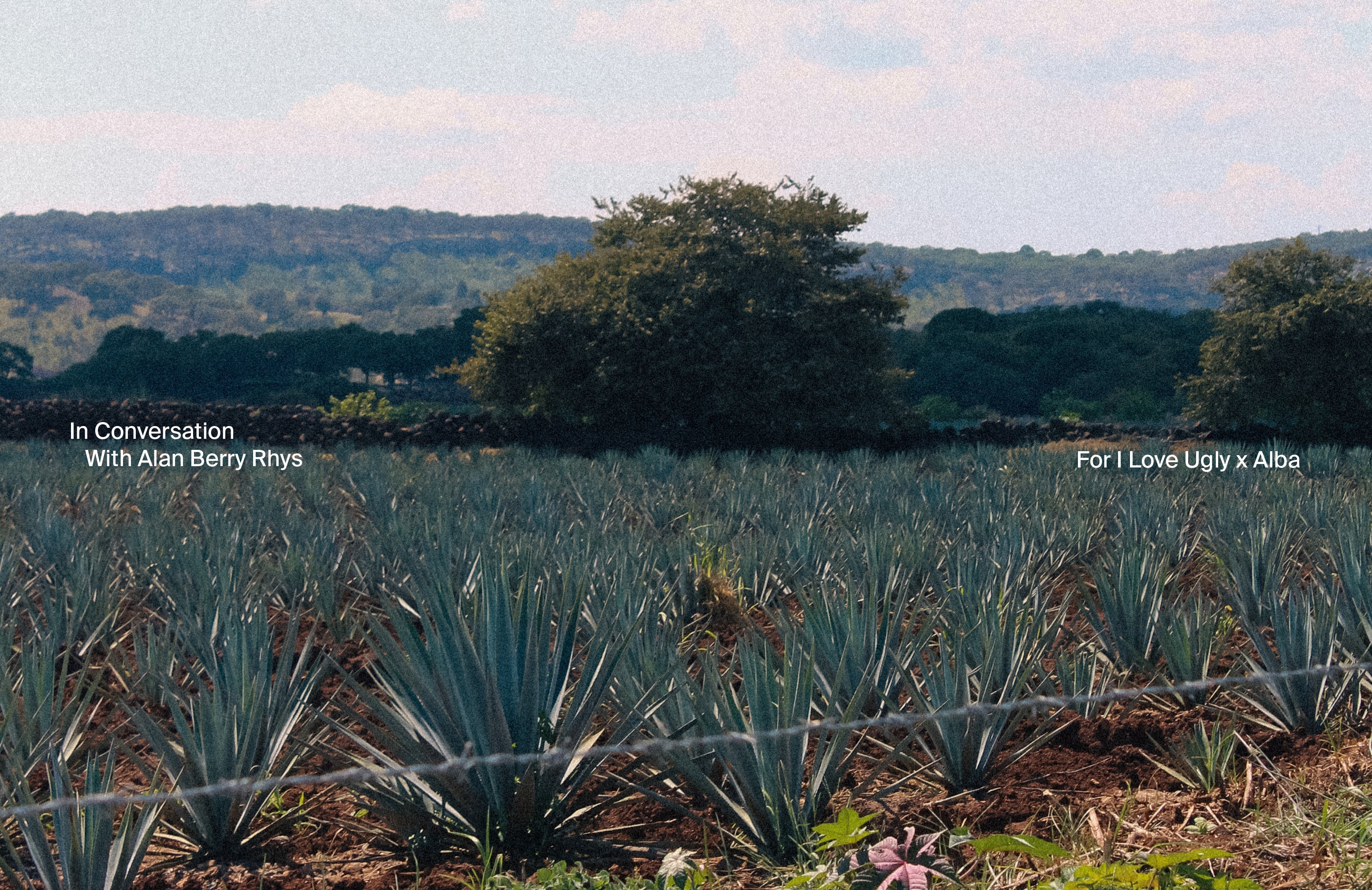 In Conversation With Alan Berry Rhys