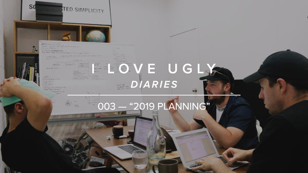 ILU Diaries: 003 - "2019 Planning"