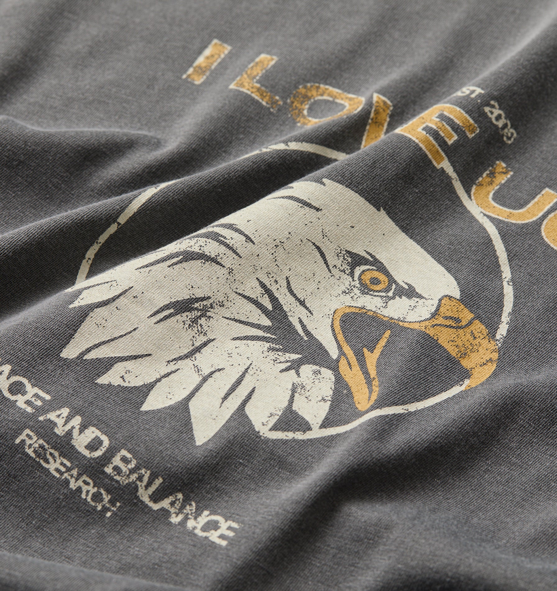 Eagle Active Crop Tee - Washed Black